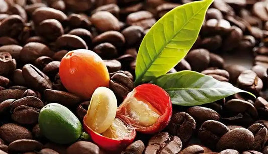 4 Colors of Bourbon Coffee Bean