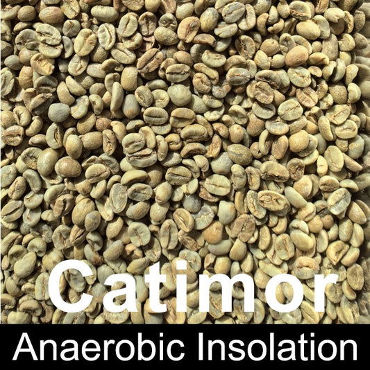 YUNNAN Green Coffee-Arabica Catimor-Anaerobic Insolation Treatment