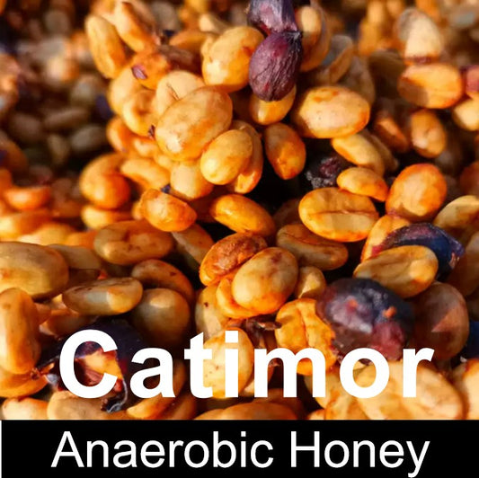 YUNNAN Green Coffee-Arabica Catimor-Anaerobic Honey Treatment